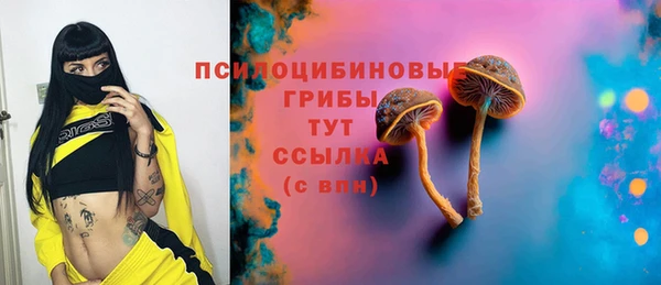 а пвп мука Карпинск